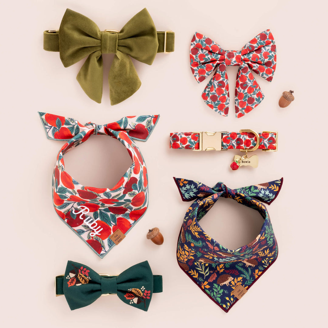 Apple of My Eye Dog Collar