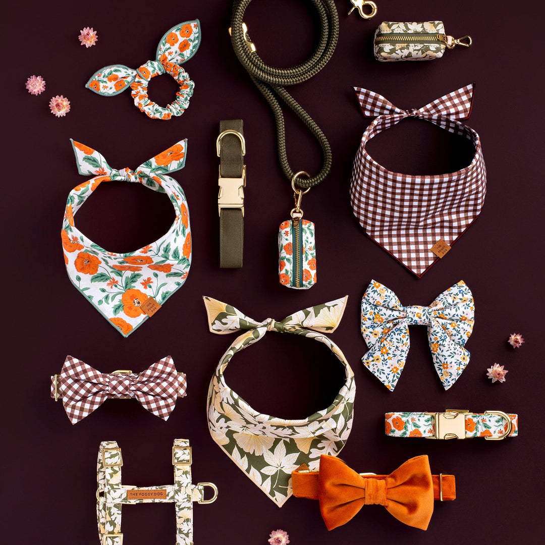 Pumpkin Velvet Dog Collar