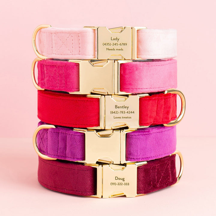 Cranberry Velvet Dog Collar