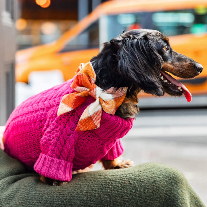 Pumpkin Spice Plaid Flannel Lady Bow Collar