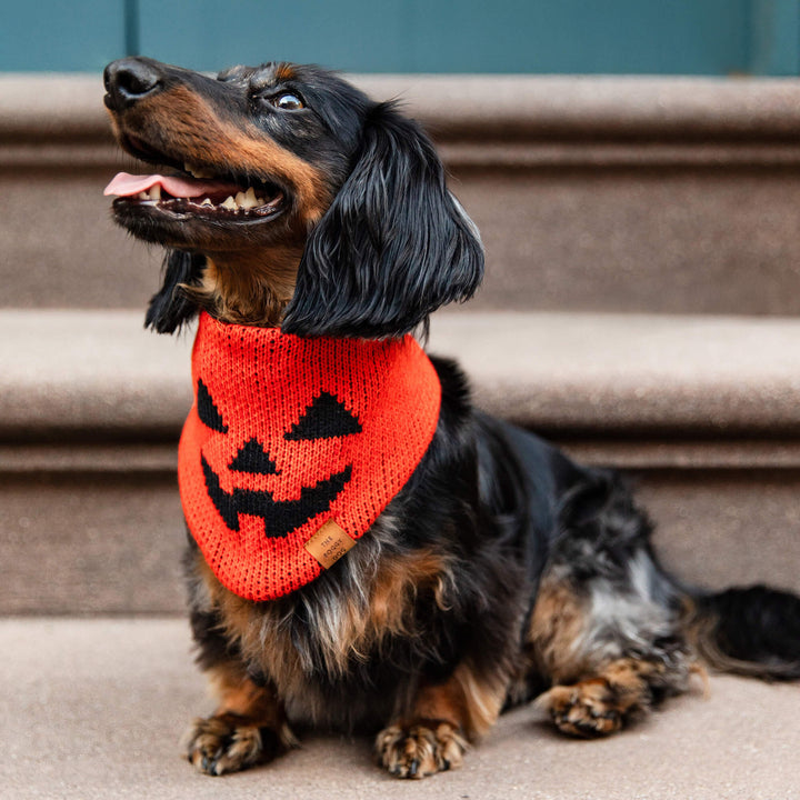 Jack-o’-Lantern Knit Dog Bandana