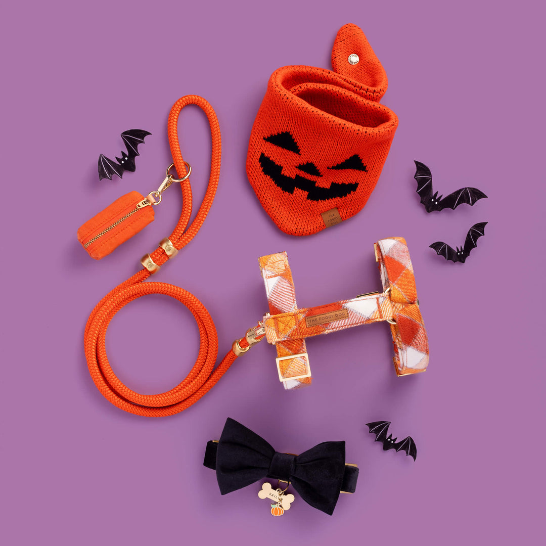 Pumpkin Collar Charm