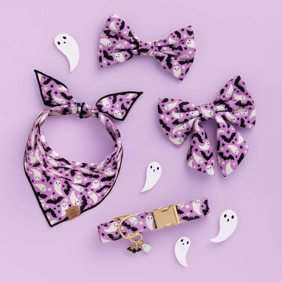 Spooky Season Lady Bow Collar