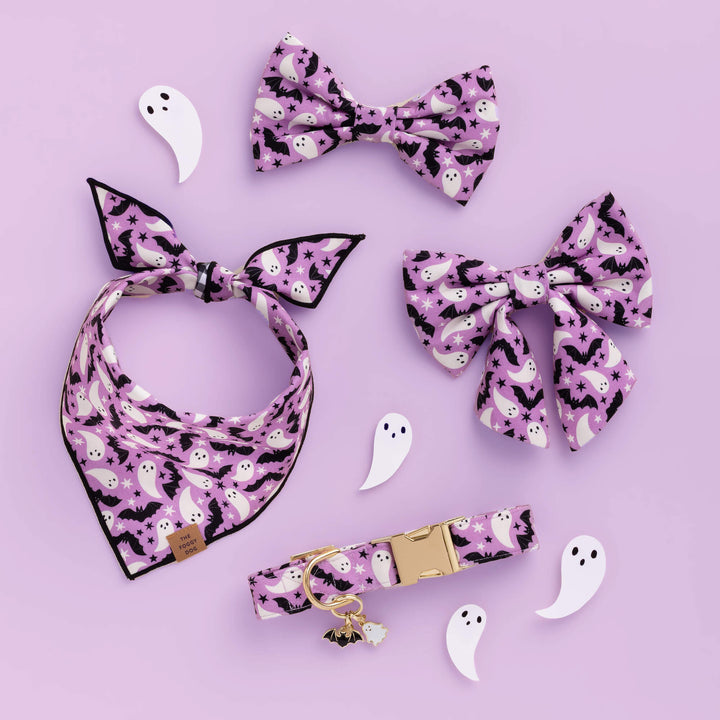 Spooky Season Lady Bow Collar