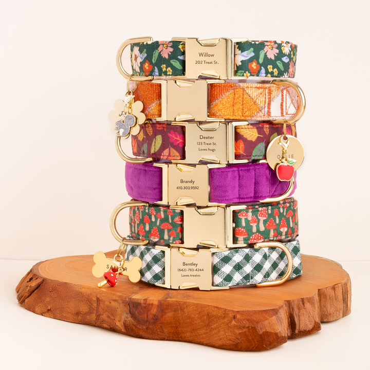 Pumpkin Spice Plaid Flannel Dog Collar