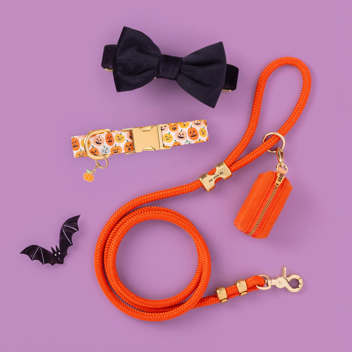 Pumpkin Collar Charm