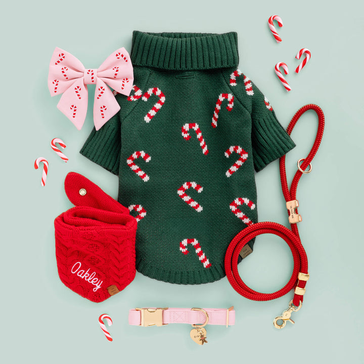 Sage flat lay with the pink candy cane bow, a green candy cane sweater, red leash, and bandana