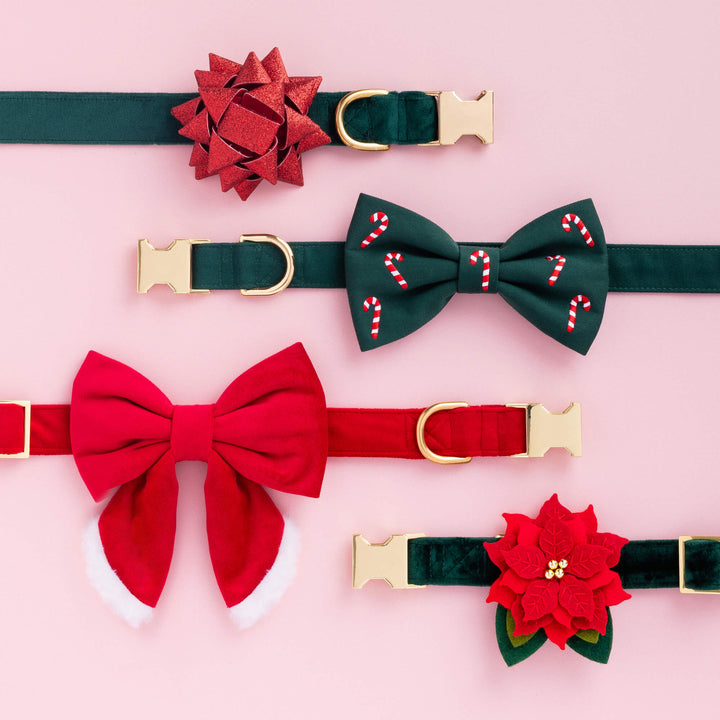Pink flat lay of Christmas collars with a red sailor bow, gift bow, candy cane bow tie, and poinsettia