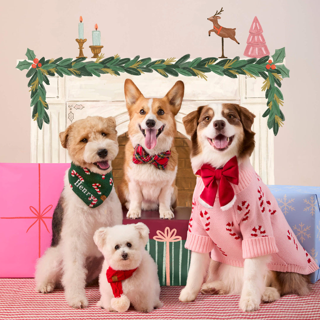 Four dogs by a garland-draped fireplace, one in the red Santa lady bow and a pink sweater
