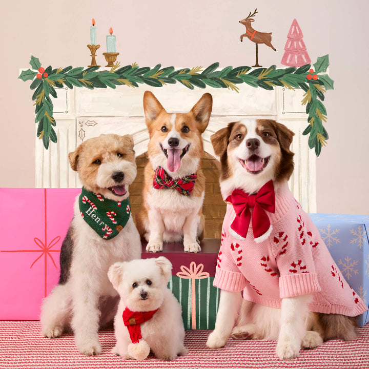 Four dogs by a garland fireplace, a corgi in the tartan bow tie beside friends in holiday wear