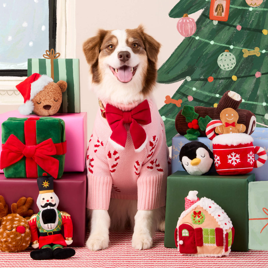 Australian shepherd in a pink sweater and red Santa bow among gifts, toys, and a Christmas tree