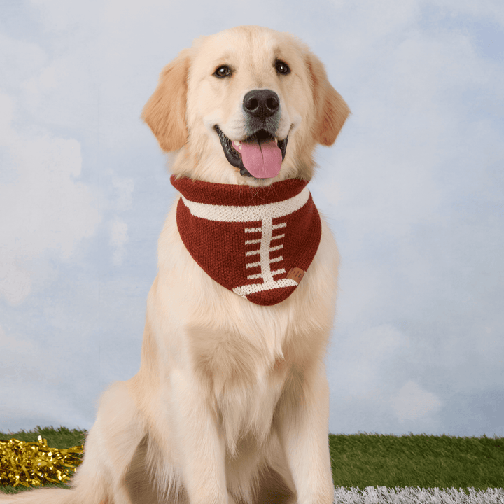 Football Knit Dog Bandana