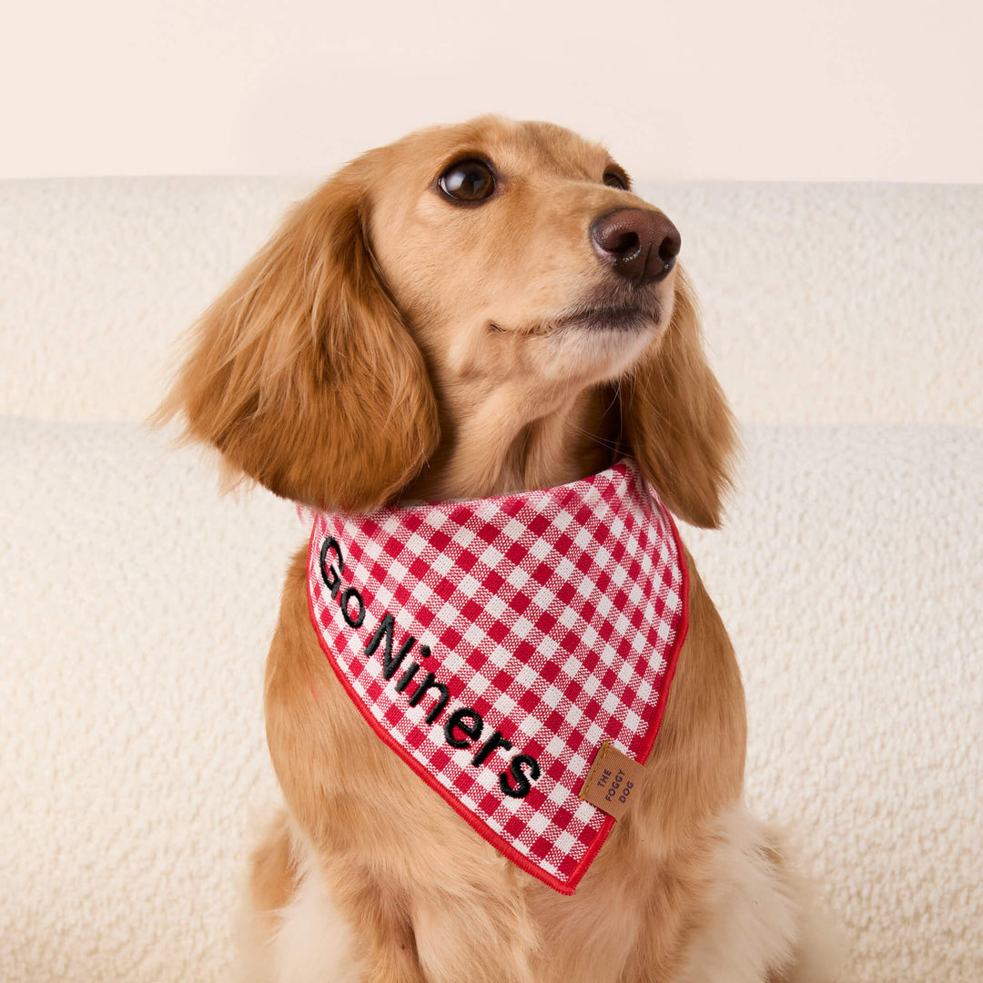 Dog wearing the red gingham triangle-tie bandana