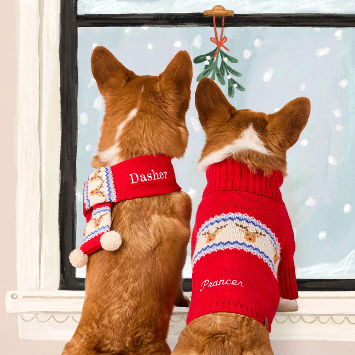 Two dogs from behind at a frosted window, one in a matching knit scarf and one in the reindeer sweater