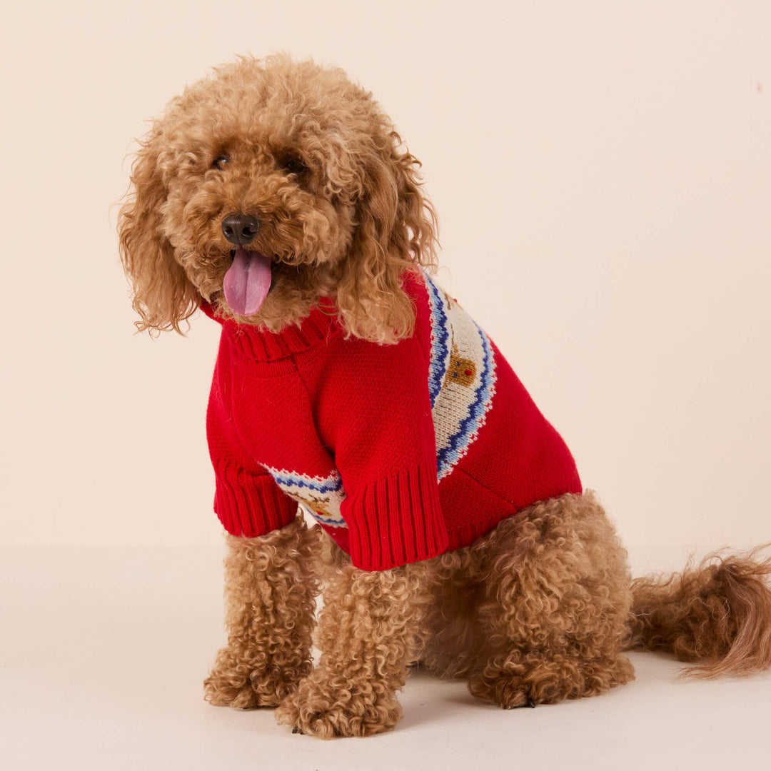 Apricot poodle sitting three-quarter in the red Fair Isle reindeer turtleneck, cream backdrop