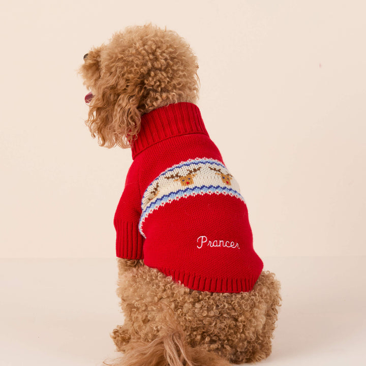 Apricot poodle seen from behind in the red reindeer sweater with a sample name stitched on the back