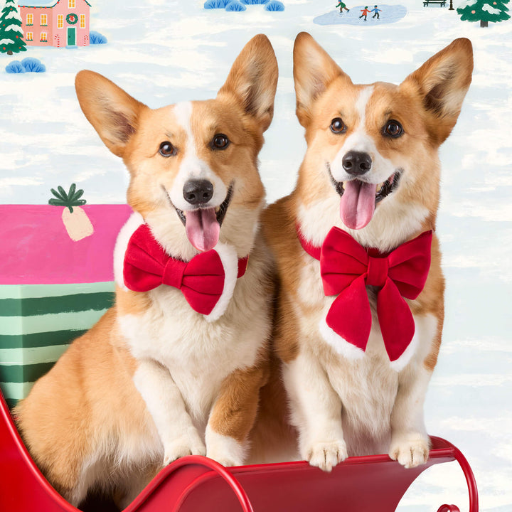 Two corgis in red Santa Paws bows sitting in a red sleigh before an illustrated winter scene