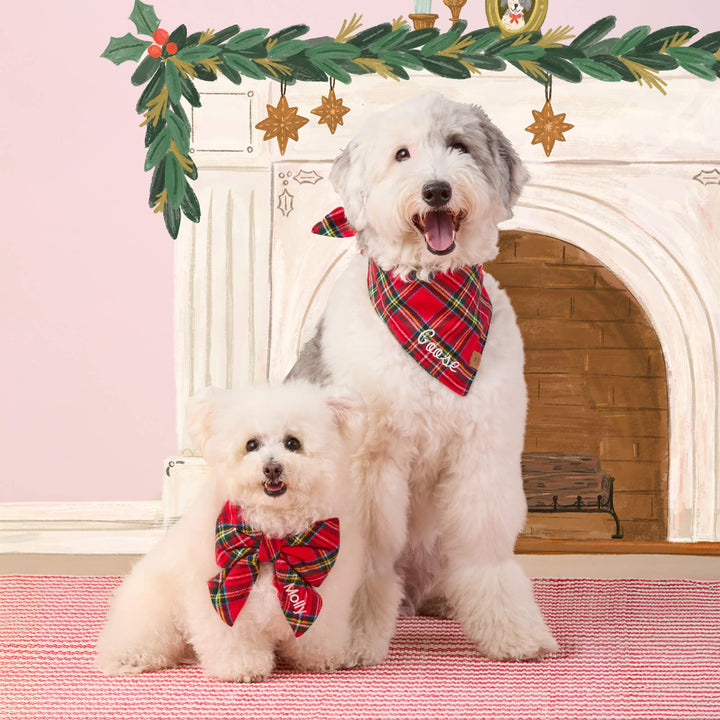 Sheepdog and small white dog by a garland mantel, one in the tartan bandana, one in a tartan bow