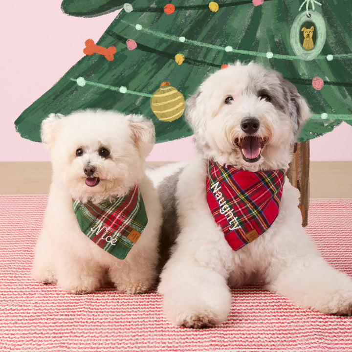 Two white dogs under a painted Christmas tree in tartan and green bandanas with sample names