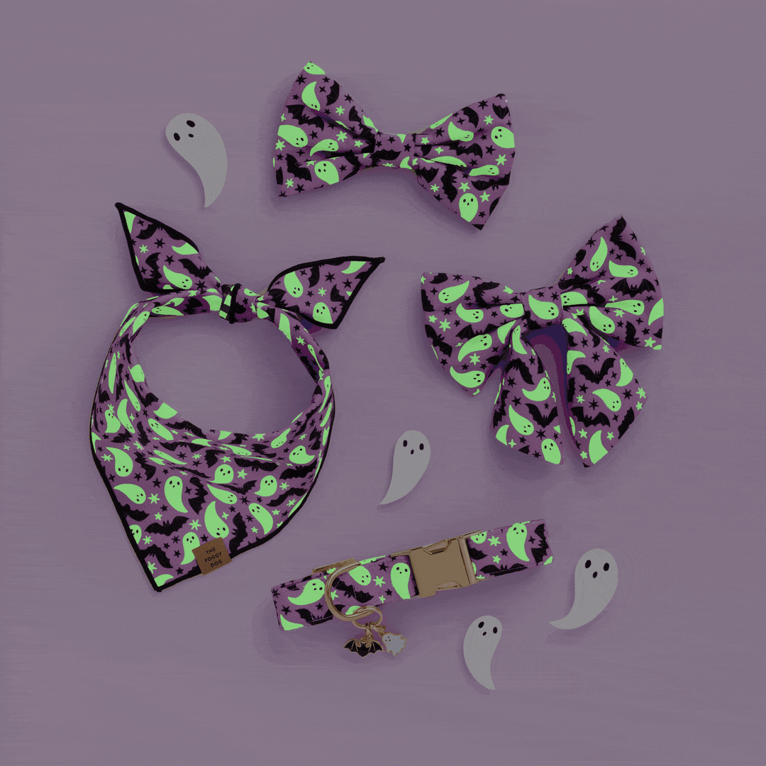 Spooky Season Reversible Dog Bandana