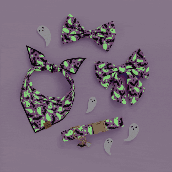Spooky Season Bow Tie Collar