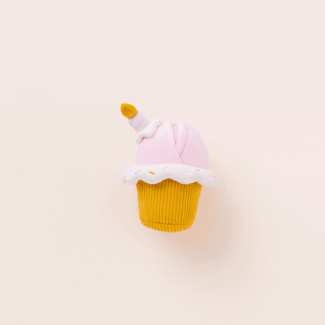 Birthday Cupcake 2-in-1 Bounce Dog Toy - Bonjour Fête 