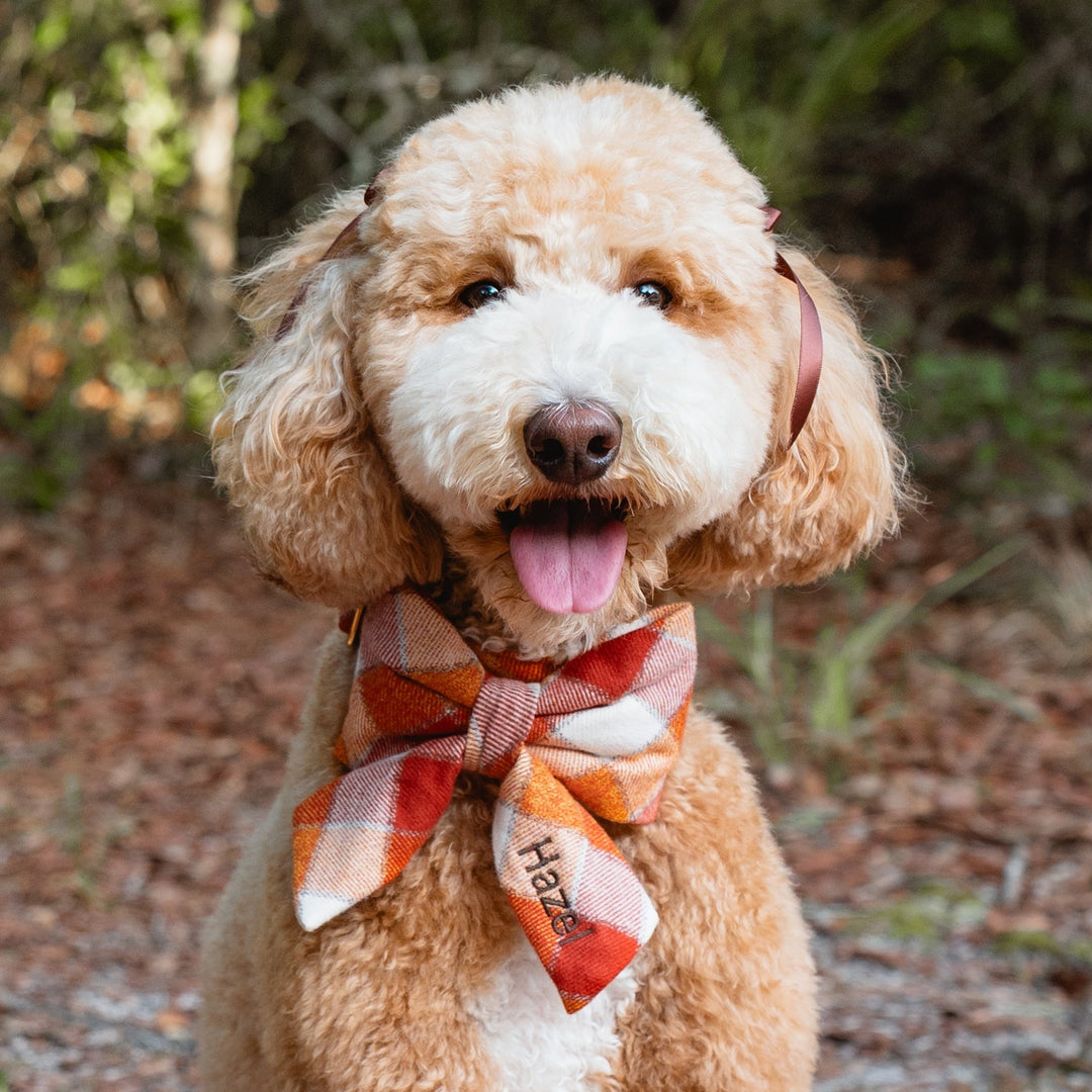 Pumpkin Spice Plaid Flannel Lady Bow Collar
