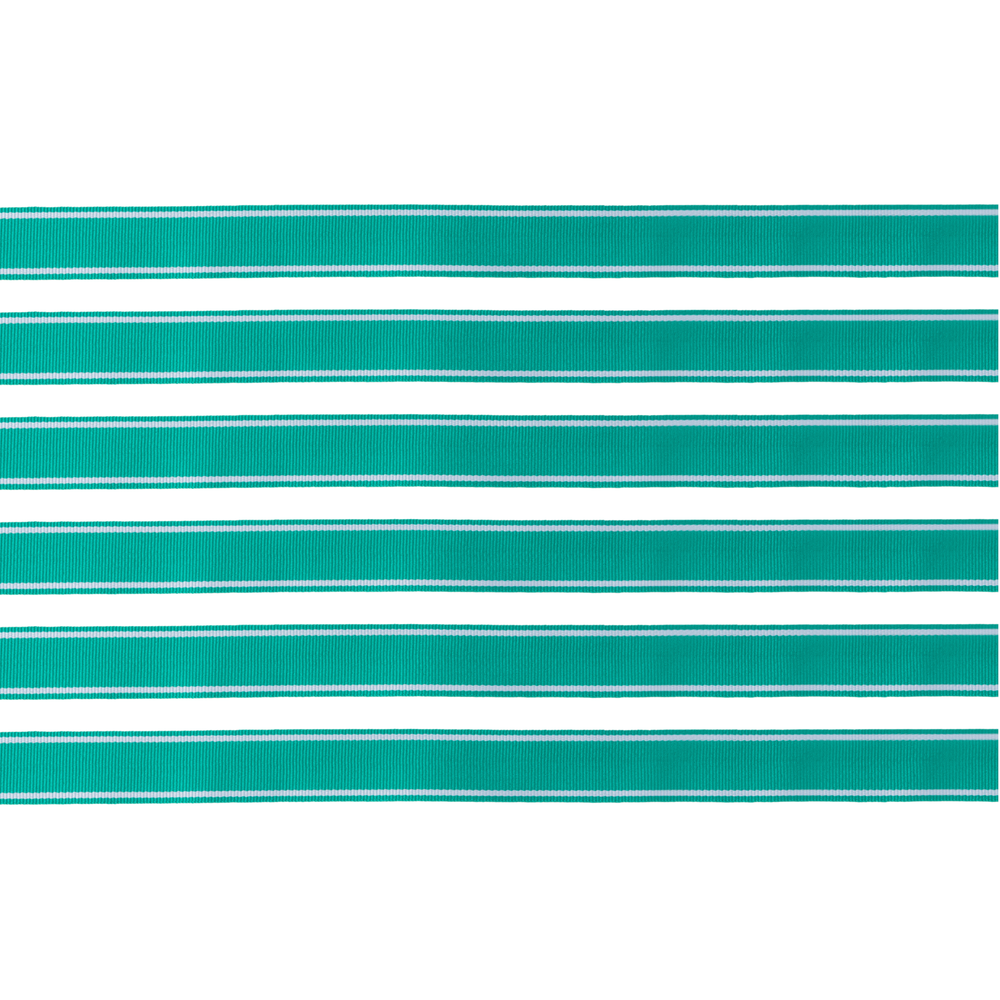 Emerald Green Grosgrain Ribbon- Bonjour Fete Party Supplies