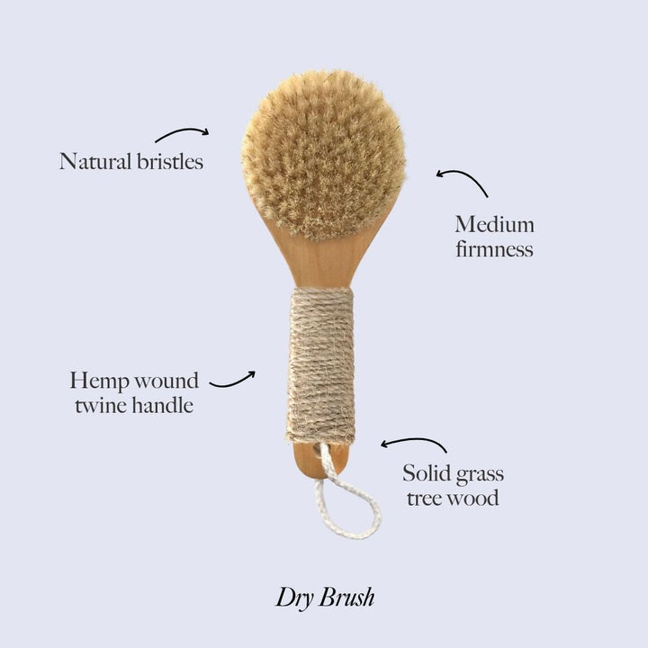 Dry Brush Esker Body Tools Dry Brush Bonjour Fete - Party Supplies