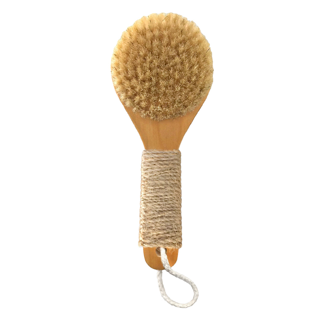 Dry Brush Esker Body Tools Dry Brush Bonjour Fete - Party Supplies