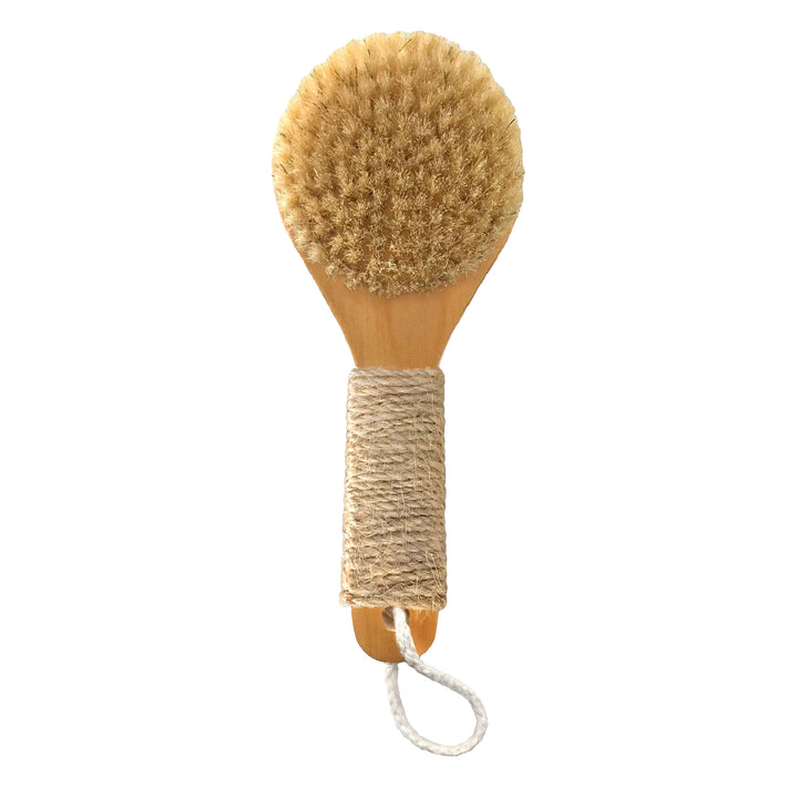 Dry Brush Esker Body Tools Dry Brush Bonjour Fete - Party Supplies