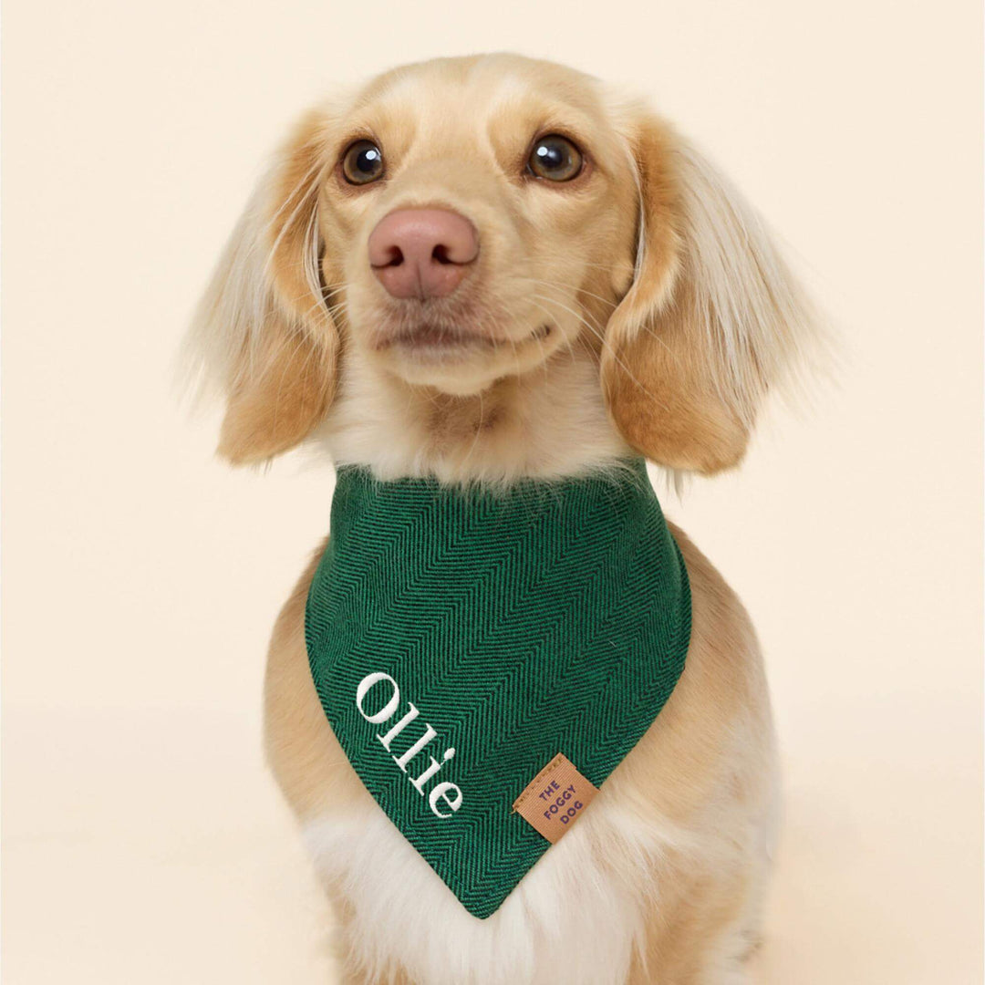 Evergreen Herringbone Flannel Dog Bandana