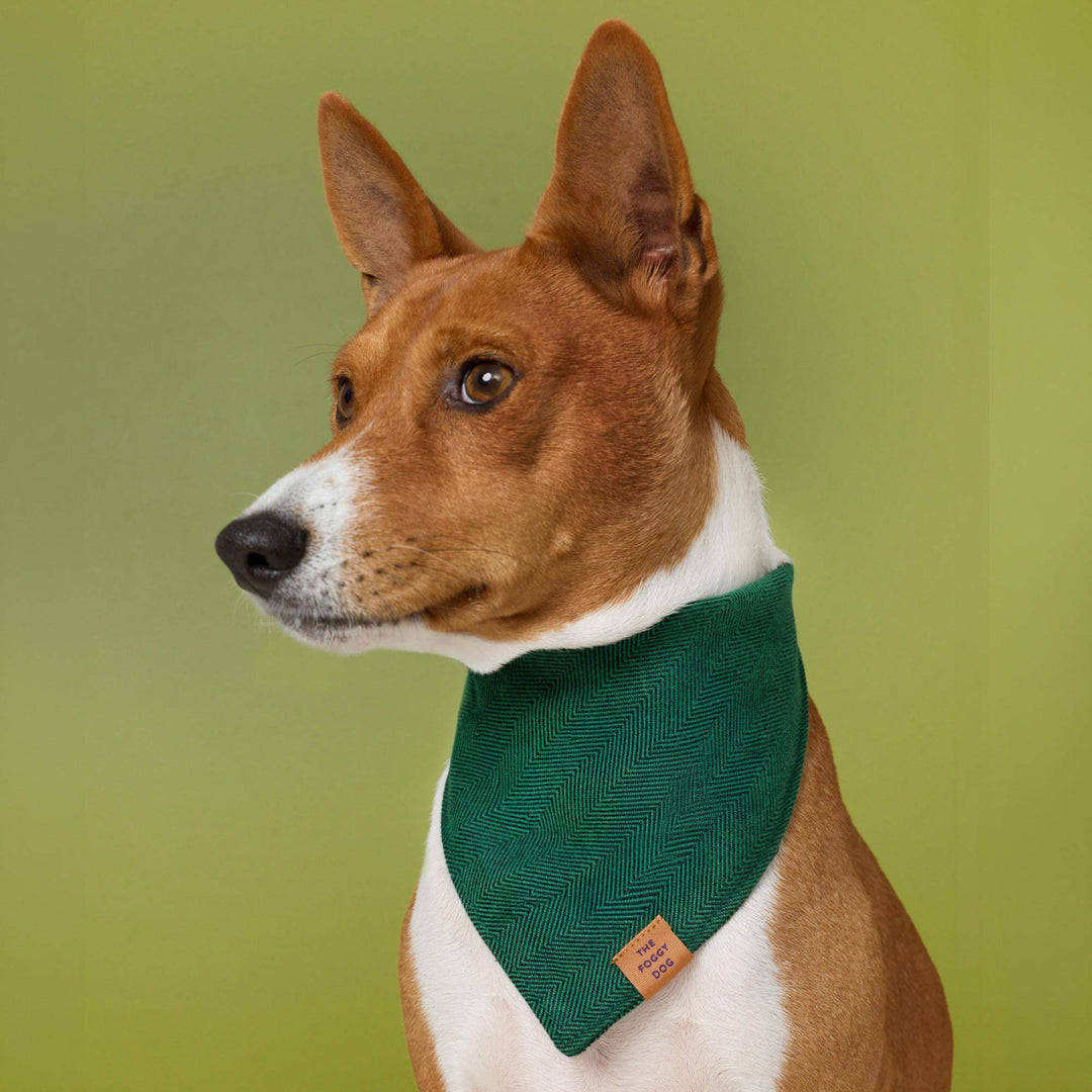 Evergreen Herringbone Flannel Dog Bandana