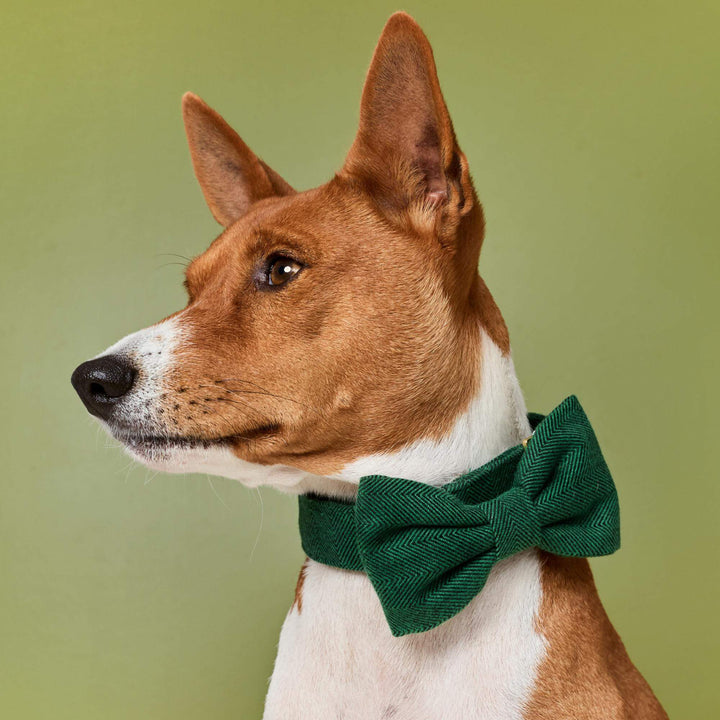 Evergreen Herringbone Flannel Dog Bow Tie
