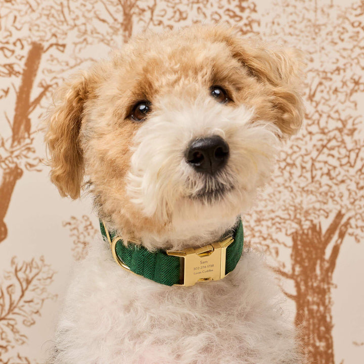 Evergreen Herringbone Flannel Dog Collar