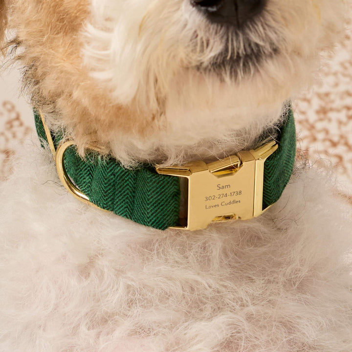 Evergreen Herringbone Flannel Dog Collar