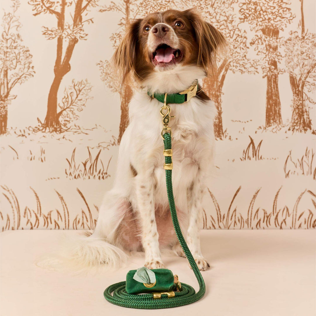 Evergreen Herringbone Flannel Collar Walk Set