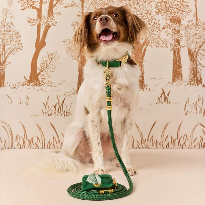 Evergreen Herringbone Flannel Collar Walk Set