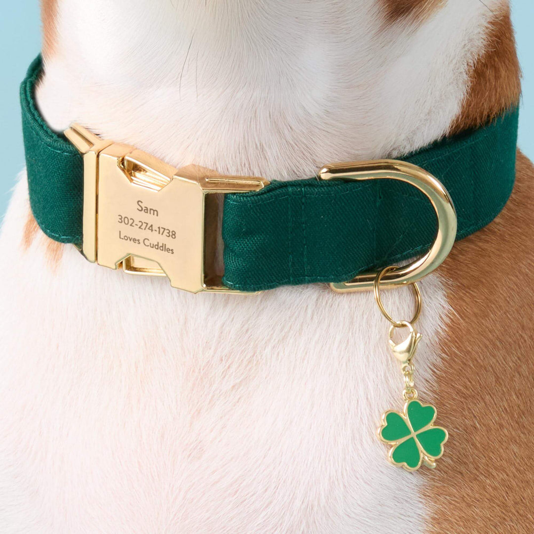 Clover charm clipped to an evergreen dog collar