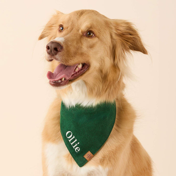 Evergreen Herringbone Flannel Dog Bandana