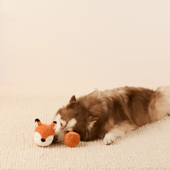 Fox 2-in-1 Bounce Dog Toy