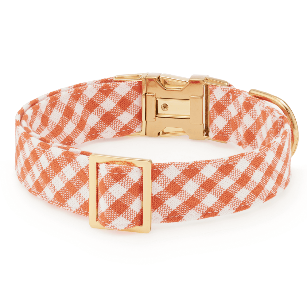 Back of the orange gingham collar showing the gold slide adjuster, buckle underside, and D-ring