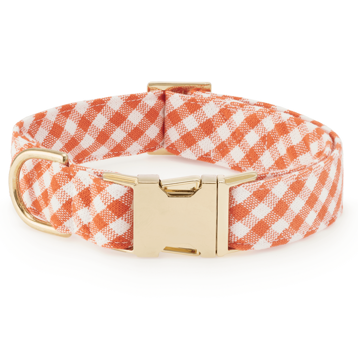 Cider Gingham Collar Walk Set