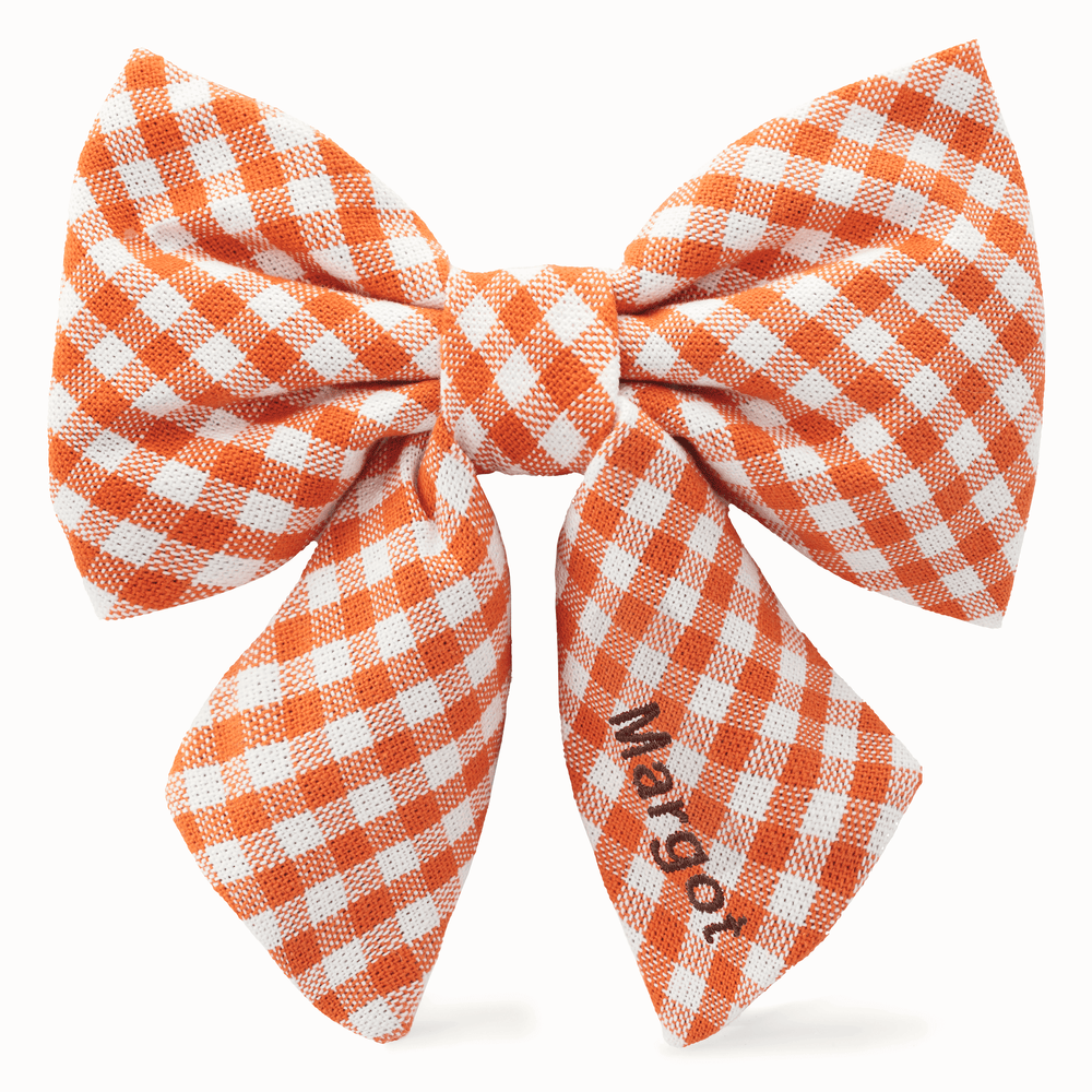 Orange gingham dog bow with a sample name embroidered in brown thread down one tail