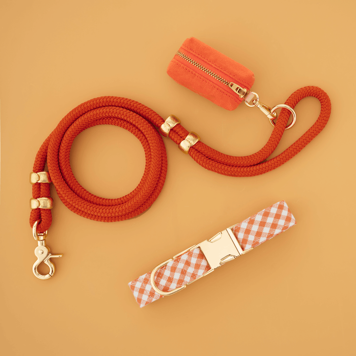 Cider Gingham Collar Walk Set