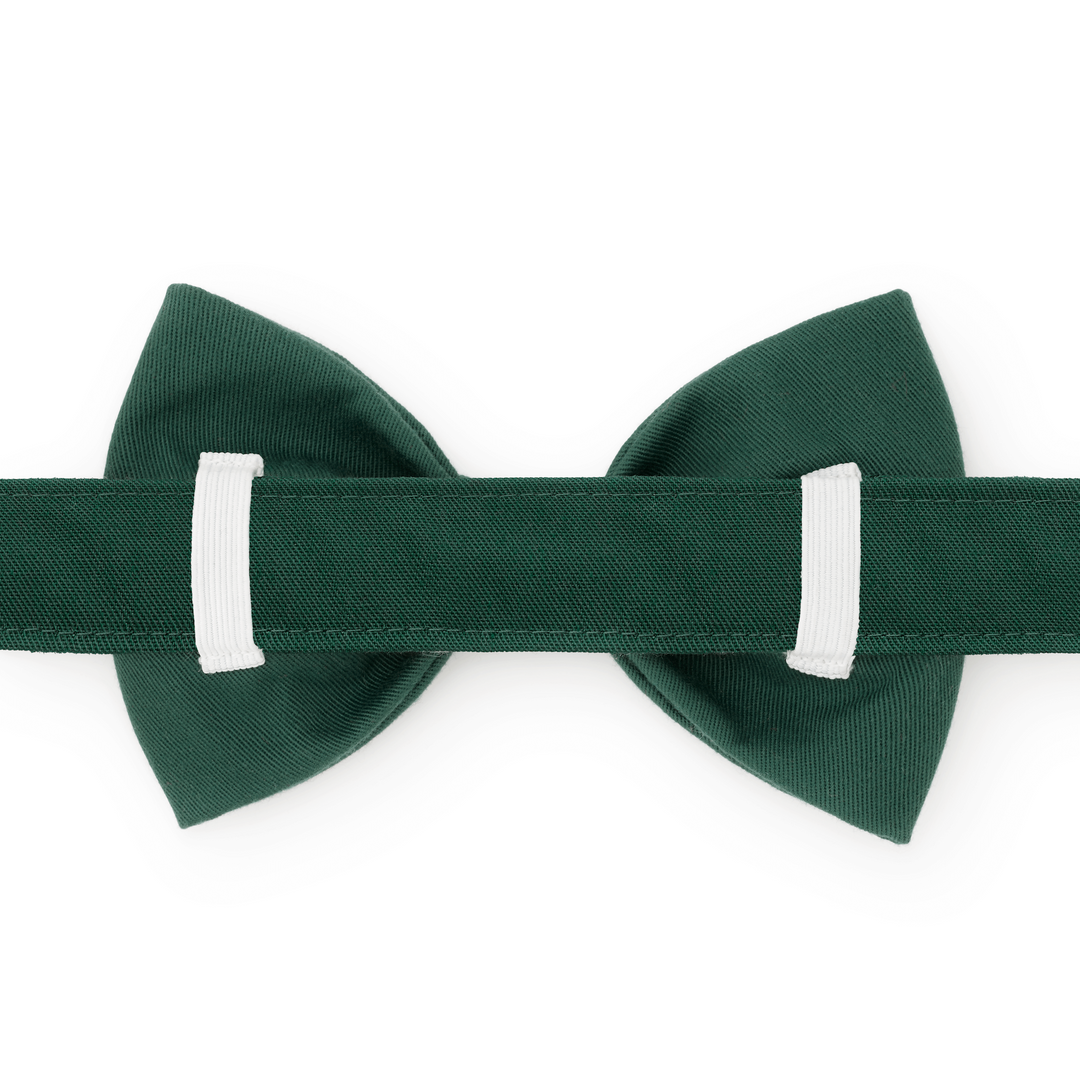 Fall Foliage Embroidered Bow Tie Collar