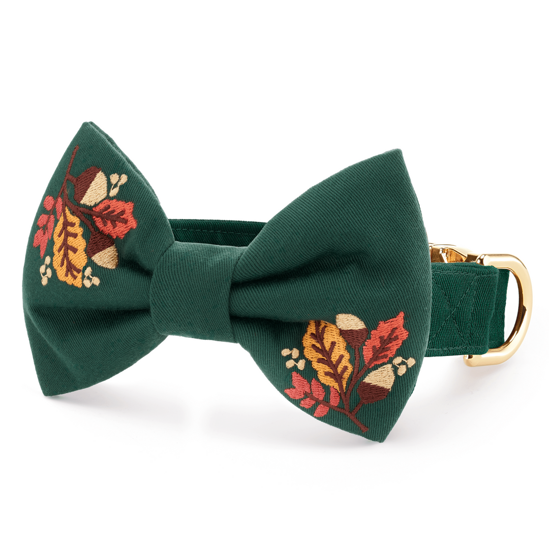 Fall Foliage Embroidered Bow Tie Collar