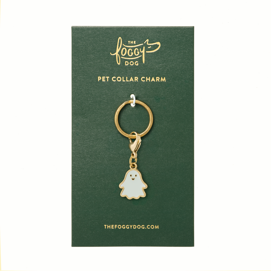 Halloween Favorites Collar Charm Set