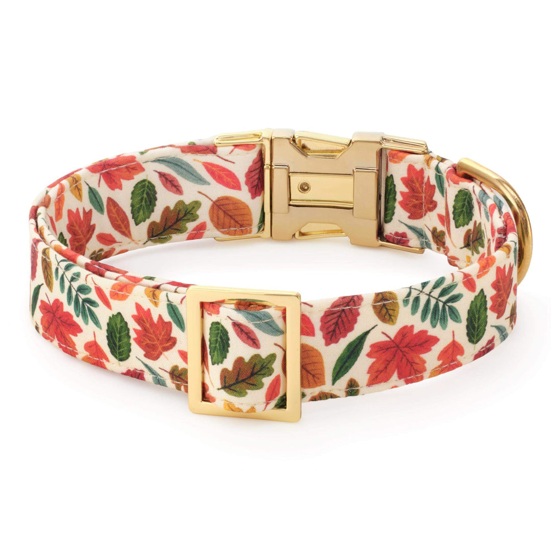 Falling Leaves Dog Collar