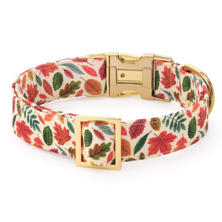 Falling Leaves Dog Collar
